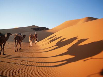 Peaceful Morocco Travel